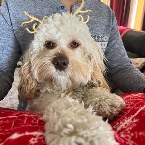 Meet your Posher, Nerusha